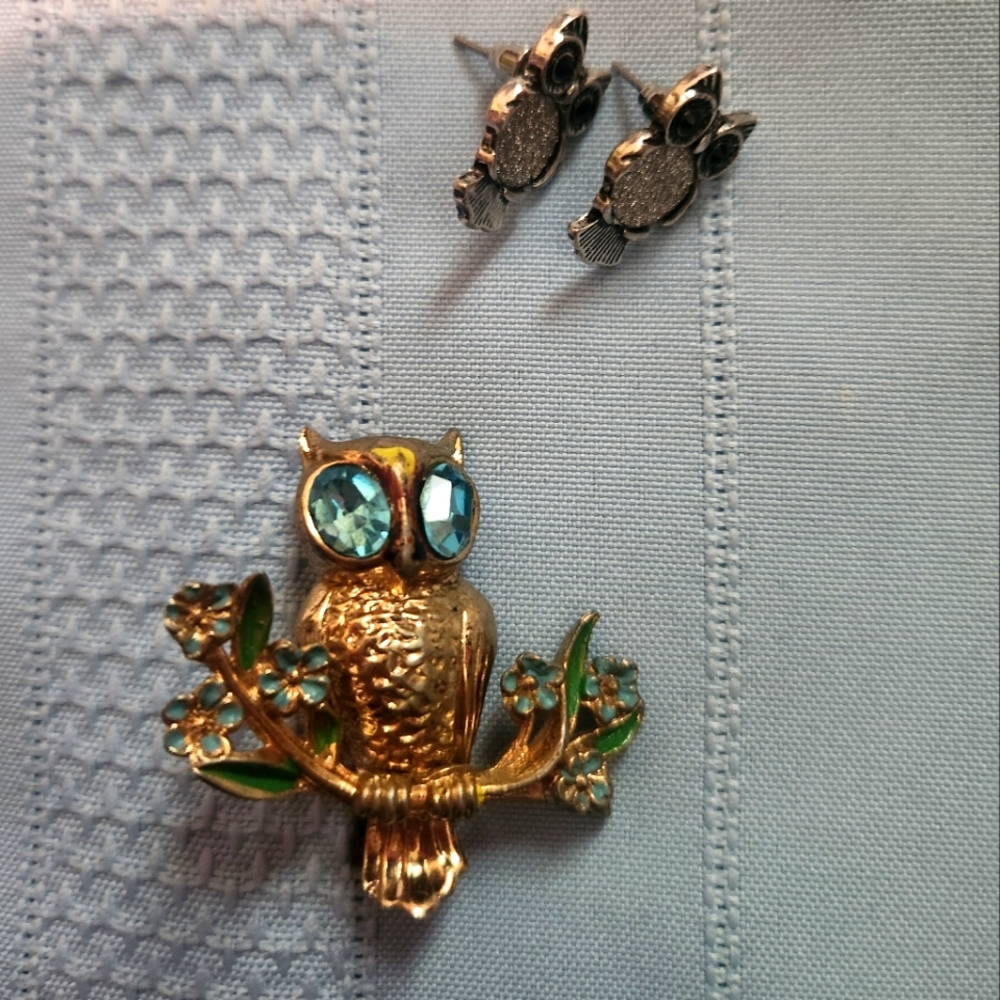 Vintage Coro Owl Brooch And Post Earrings